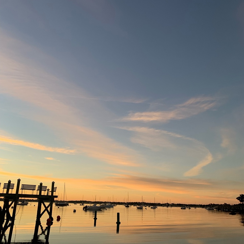 Meet your Posher, Cleo